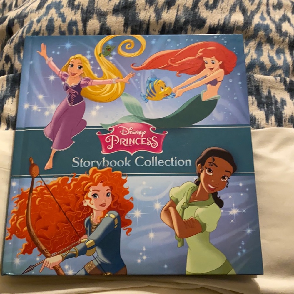 Disney princess storybook Collection